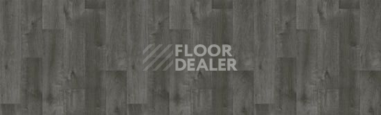 Линолеум Tarkett Bonus DUART 4 фото 1 | FLOORDEALER